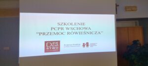 Read more about the article Szkolenie dla rodziców zastępczych pn. “Przemoc Rówieśnicza”